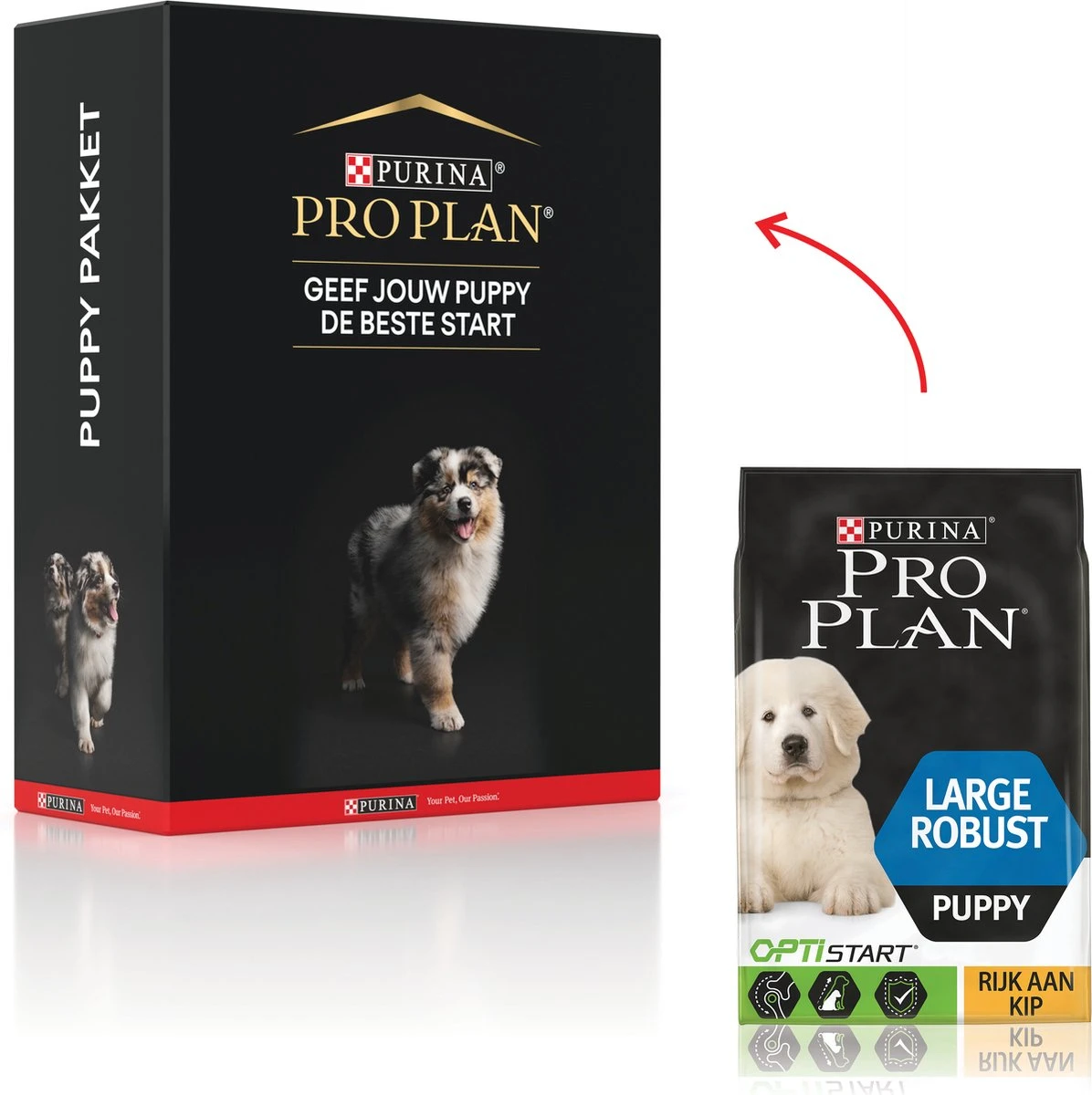 Pro Plan Puppy Large Robust Hondenvoer โ Puppypakket 3kg