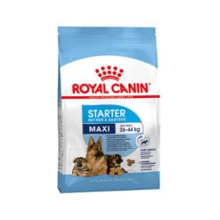 Royal Canin Maxi Starter Mother & Babydog - Hondenvoer