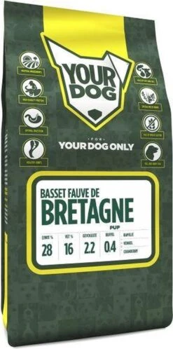 Yourdog Basset Fauve De Bretagne Pup (3 KG)