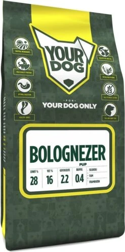 Bolognezer