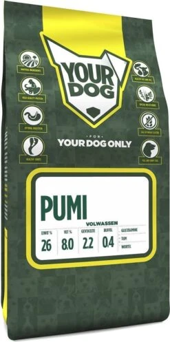Pumi