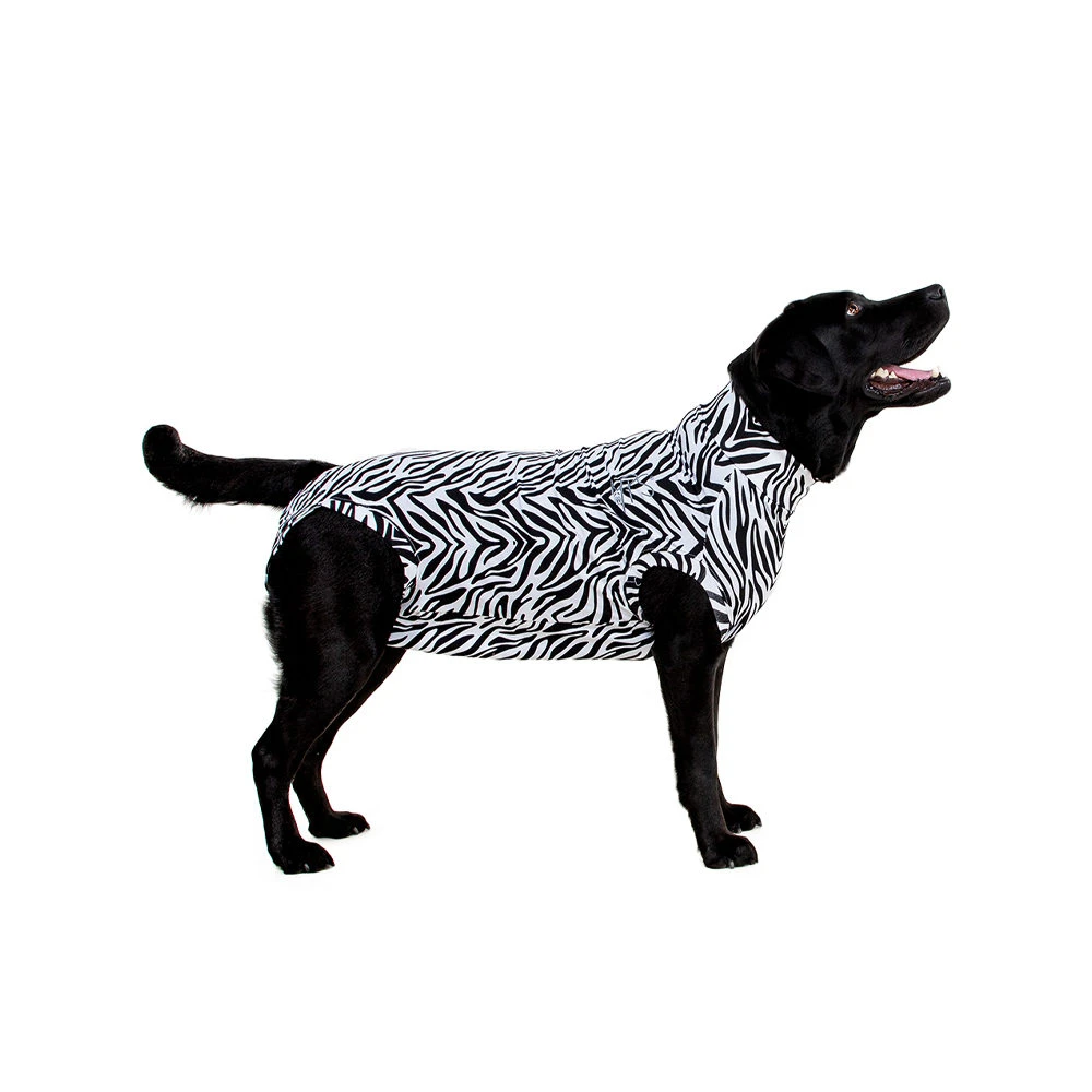 Medical Pet Shirt Hond Zebra Print - Afbeelding 2