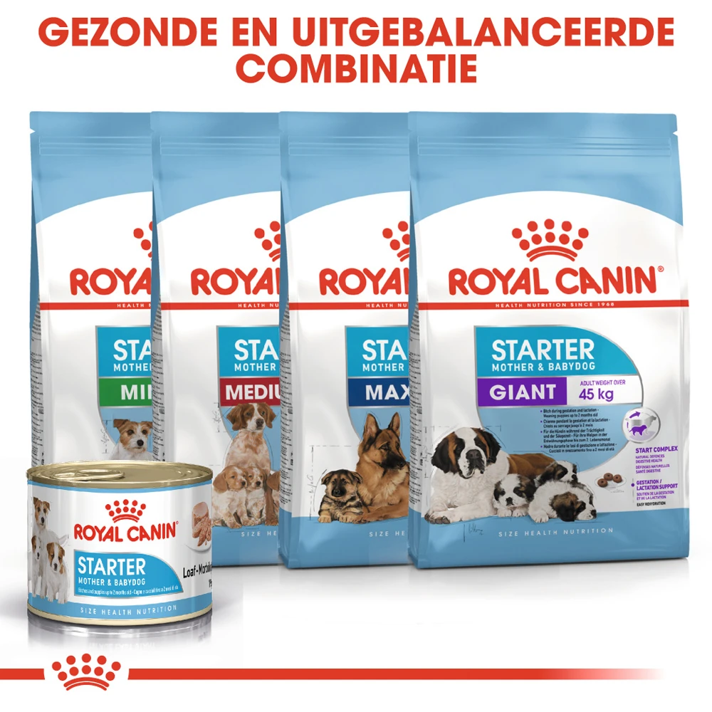 Royal Canin Starter Mousse Mother & Babydog - Hondenvoer - Afbeelding 7