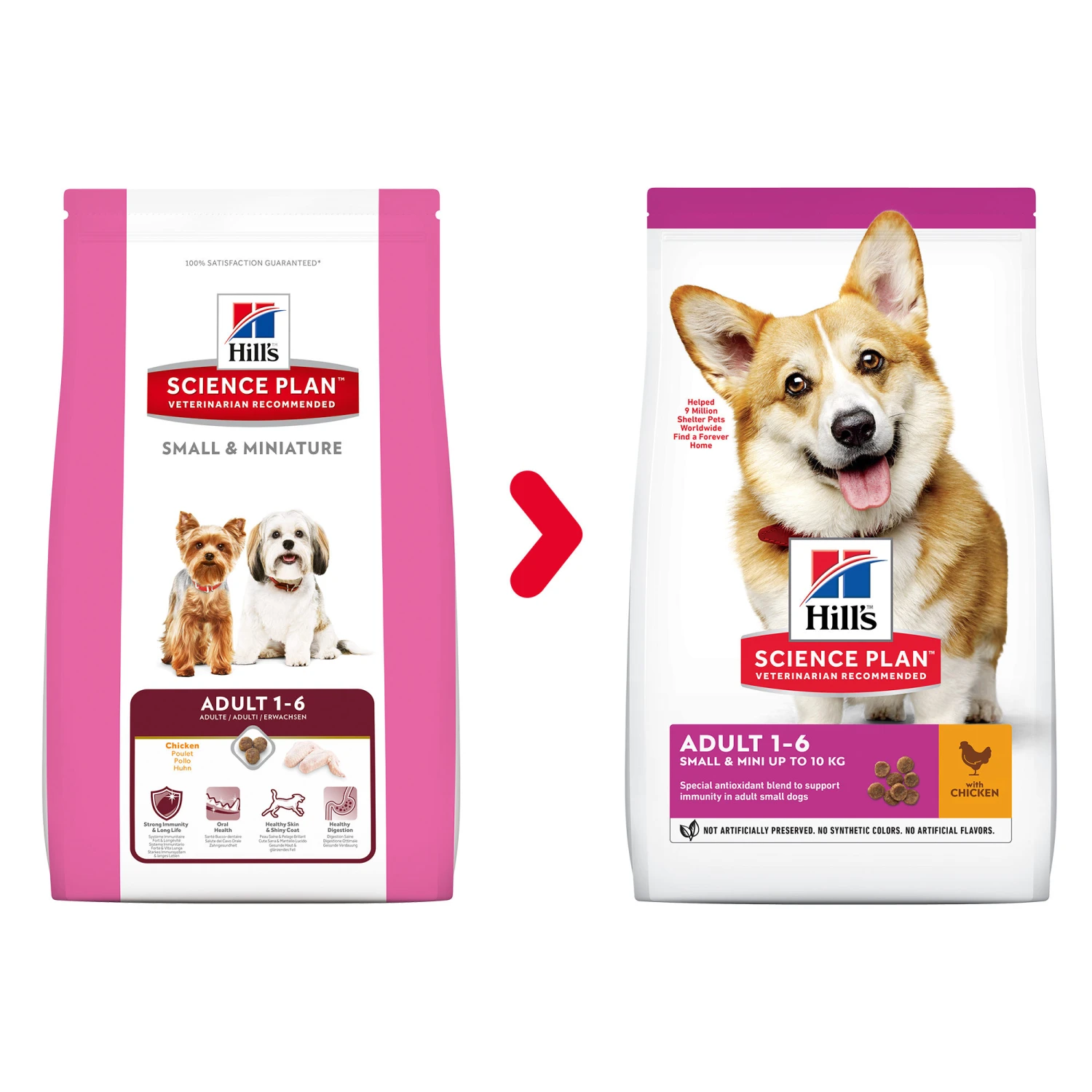 Hill's Science Plan - Small & Mini Adult Dog - Afbeelding 5