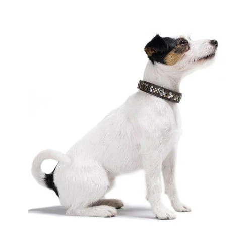 Hunter Halsband Arizona - Afbeelding 11