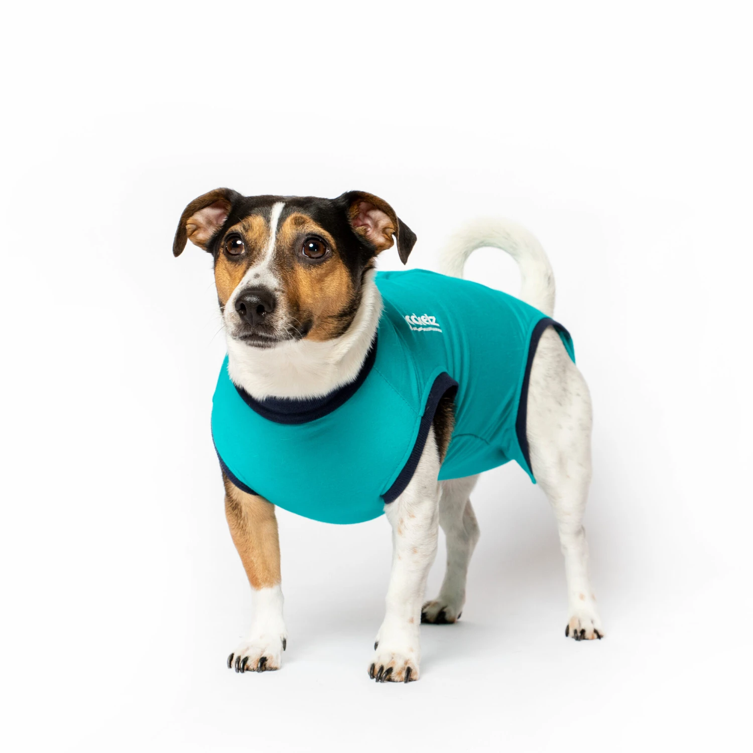 Jacketz Medical Body Suit Hond - Afbeelding 5