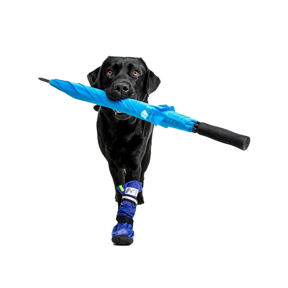 Medical Pet Shirt Boot - Afbeelding 10