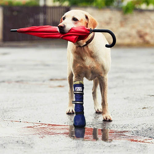 Medical Pet Shirt Boot - Afbeelding 16