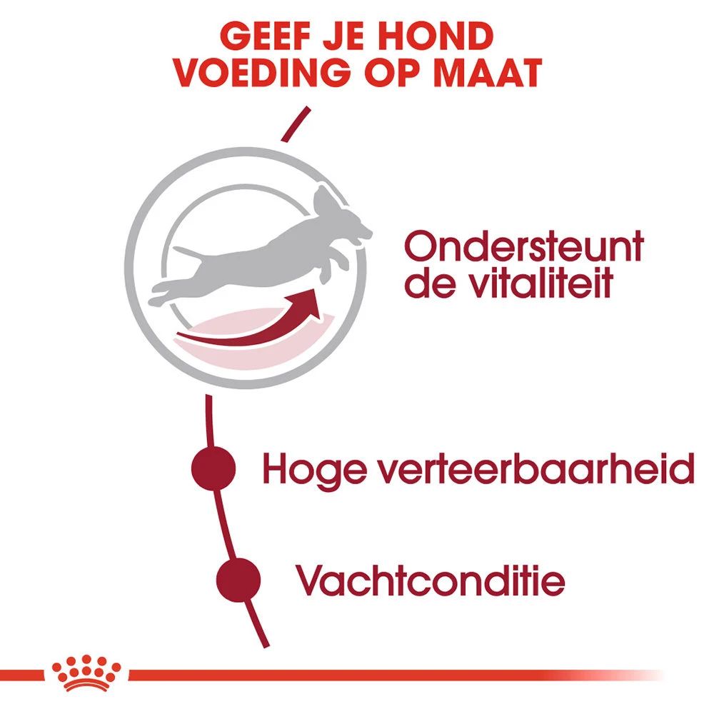 Royal Canin Medium Adult 7+ - Hondenvoer - Afbeelding 7