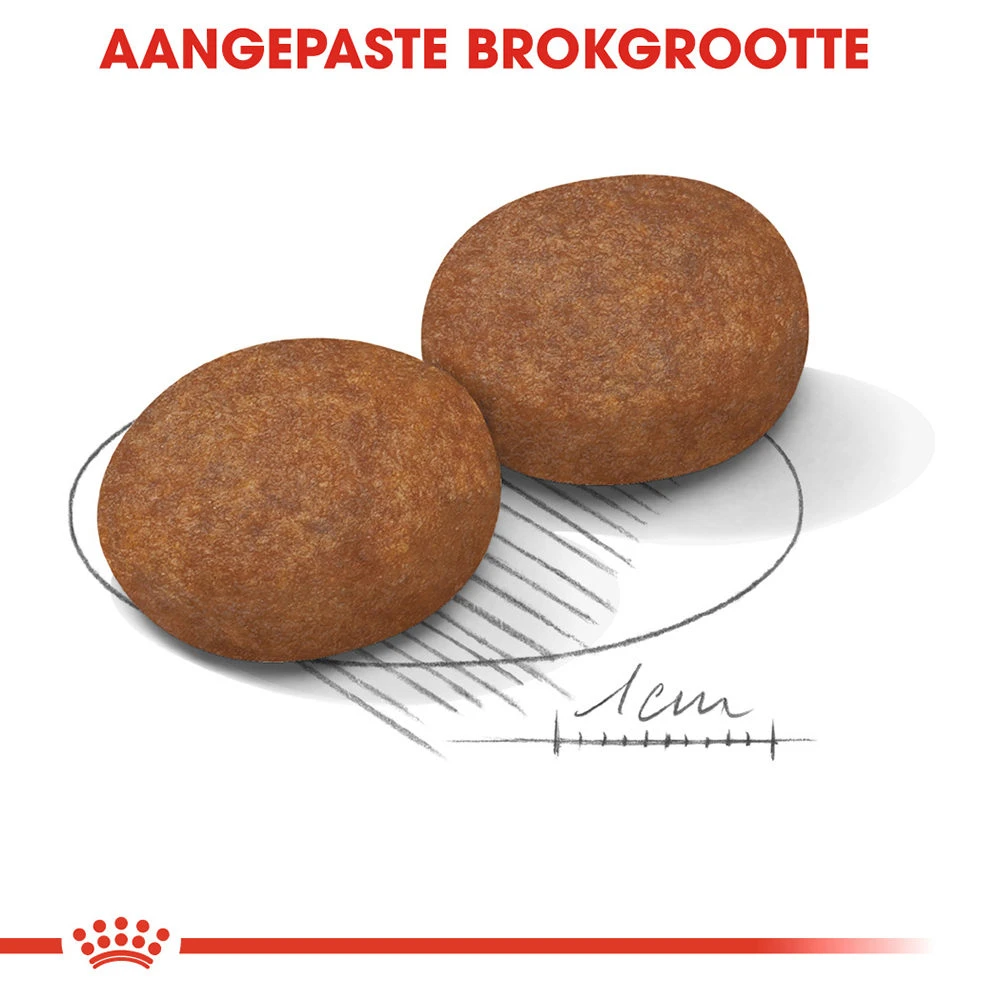 Royal Canin Medium Adult 7+ - Hondenvoer - Afbeelding 9