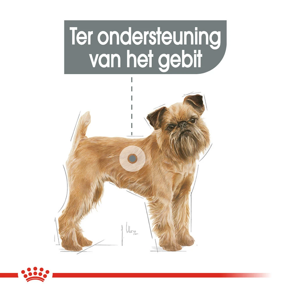 Royal Canin Mini Dental Care - Hondenvoer - Afbeelding 6