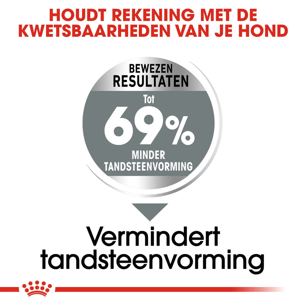 Royal Canin Mini Dental Care - Hondenvoer - Afbeelding 8