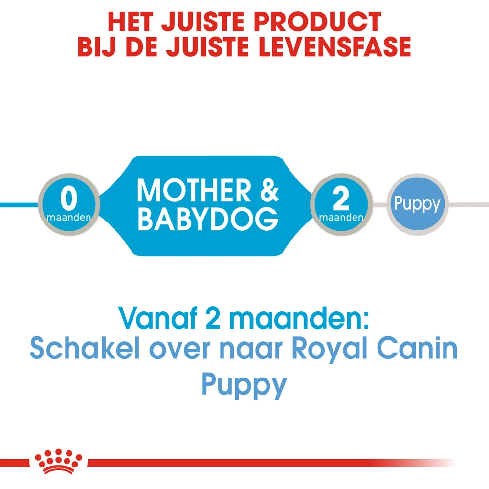 Royal Canin Starter Mousse Mother & Babydog - Hondenvoer - Afbeelding 4