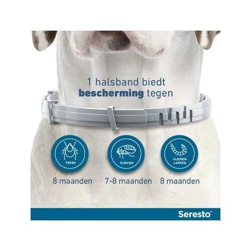 Seresto Hond - Afbeelding 14