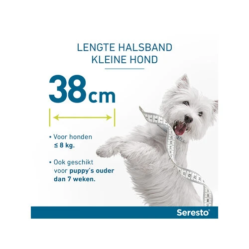 Seresto Hond - Afbeelding 15