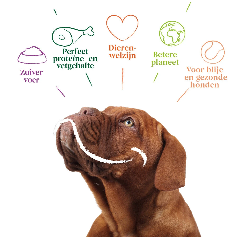 Yarrah - Natvoer Hond Blik Chunks Met Kip Bio - Afbeelding 7